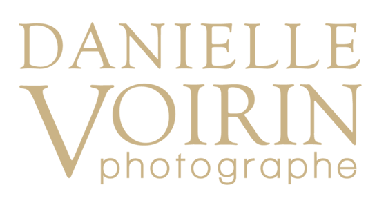Logo_Danielle_Voirin